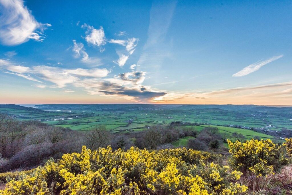 Welcome to East Devon National Landscape