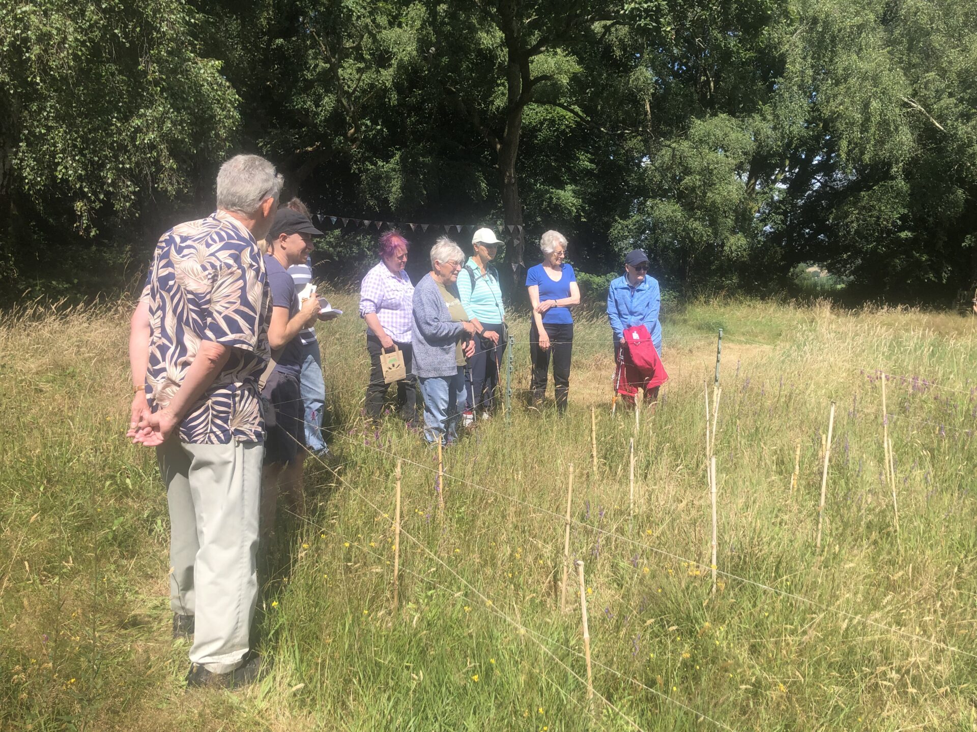 Heath Lobelia Volunteering group surveying
