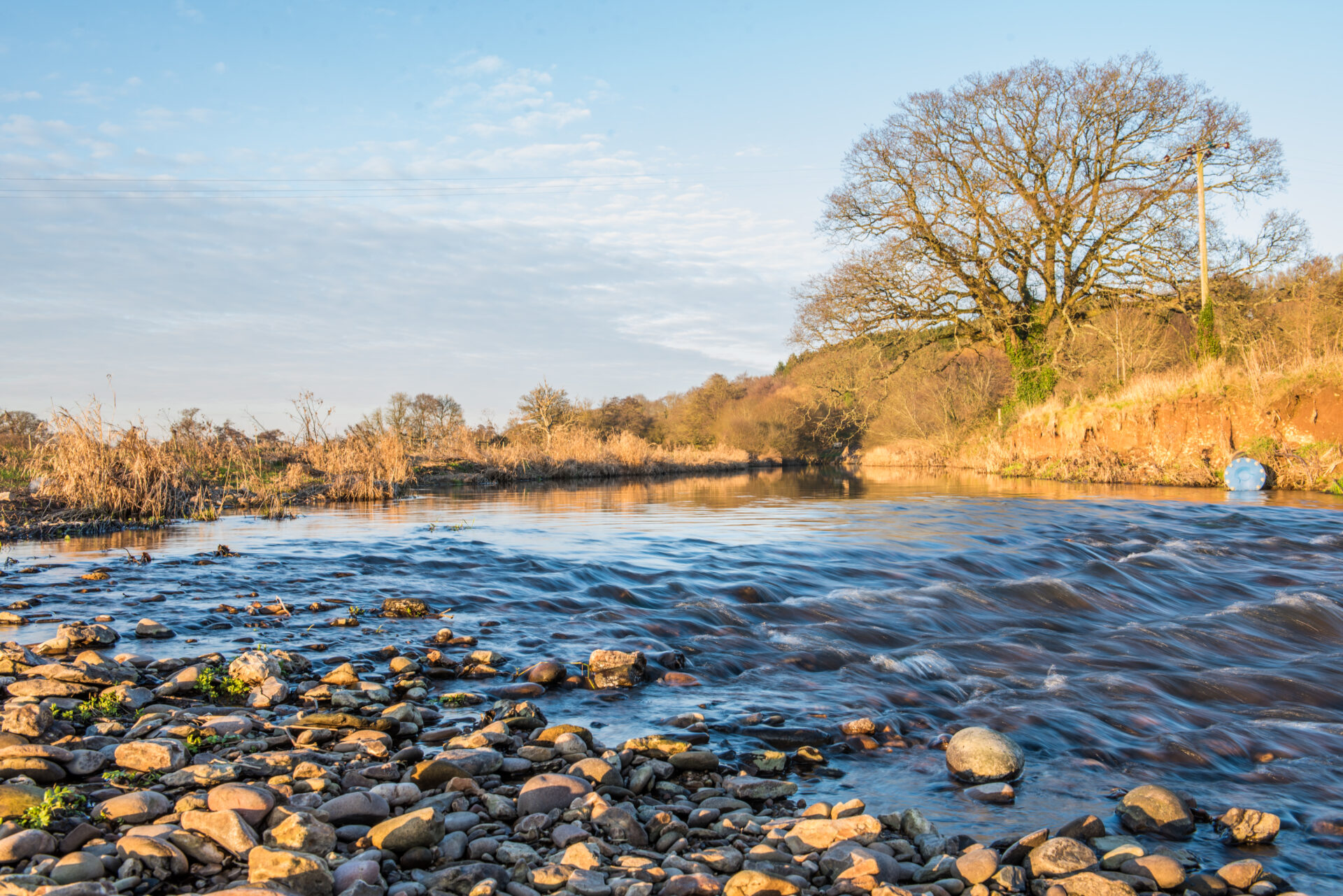 Newton Poppleford and River Otter Circular Walk