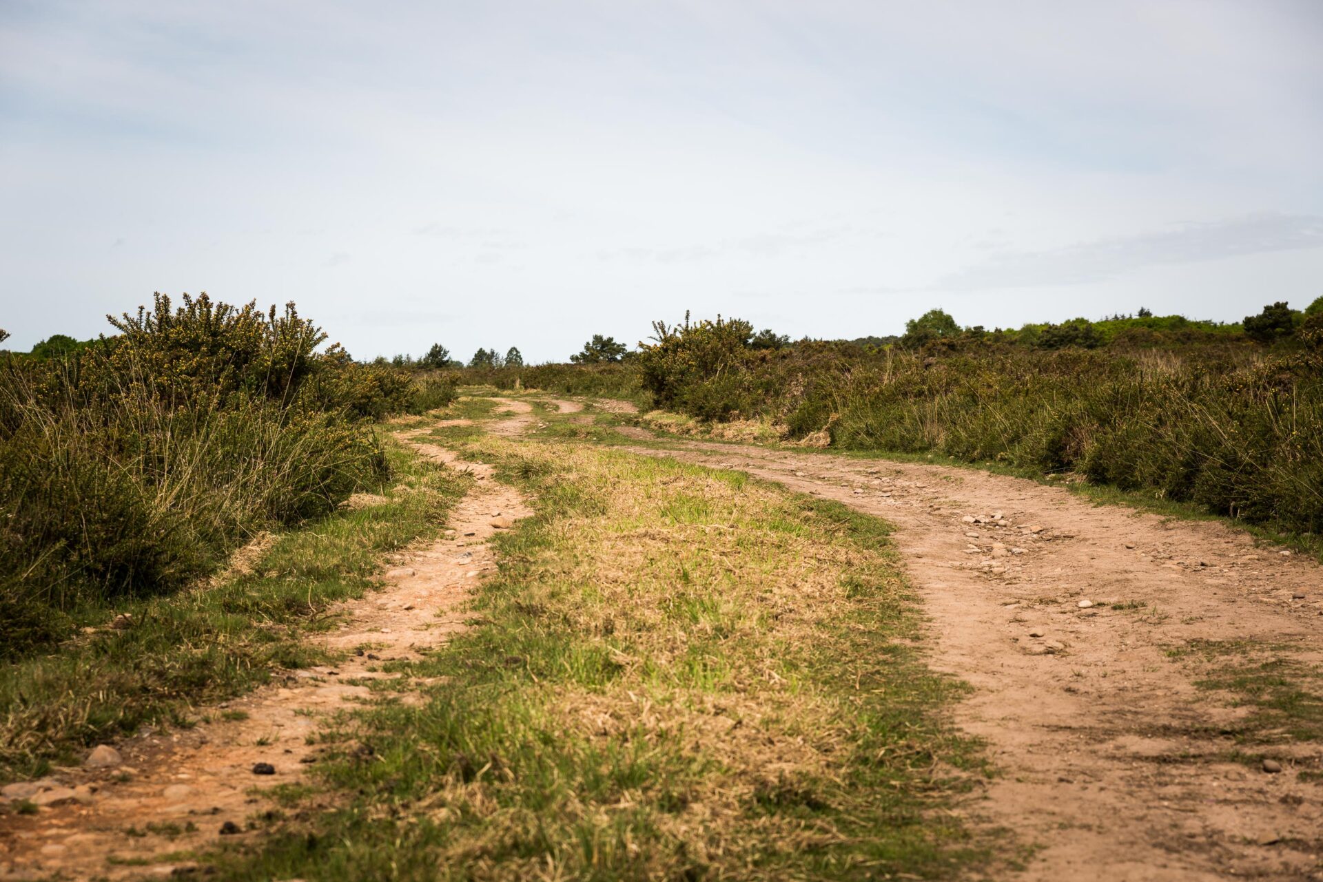 Woodbury Castle & Pebblebed Heaths