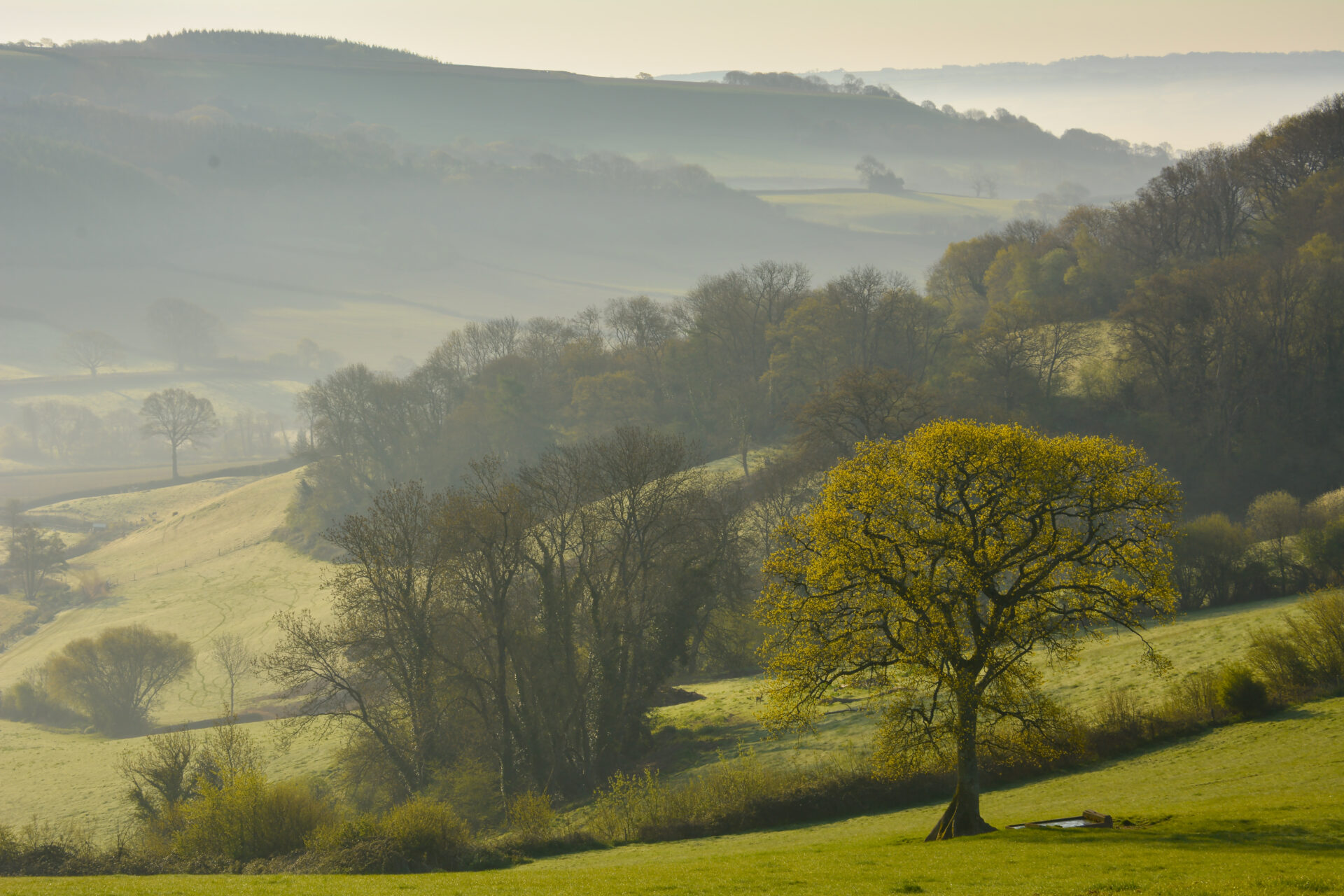 Stage 5: Church Green to Colyton