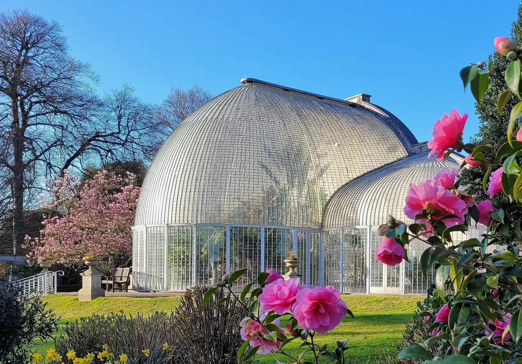 Bicton Park Botanical Gardens