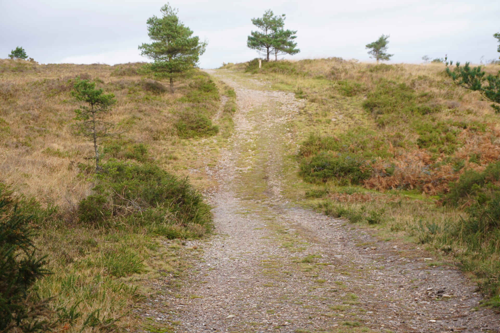 Aylesbeare Common Circular