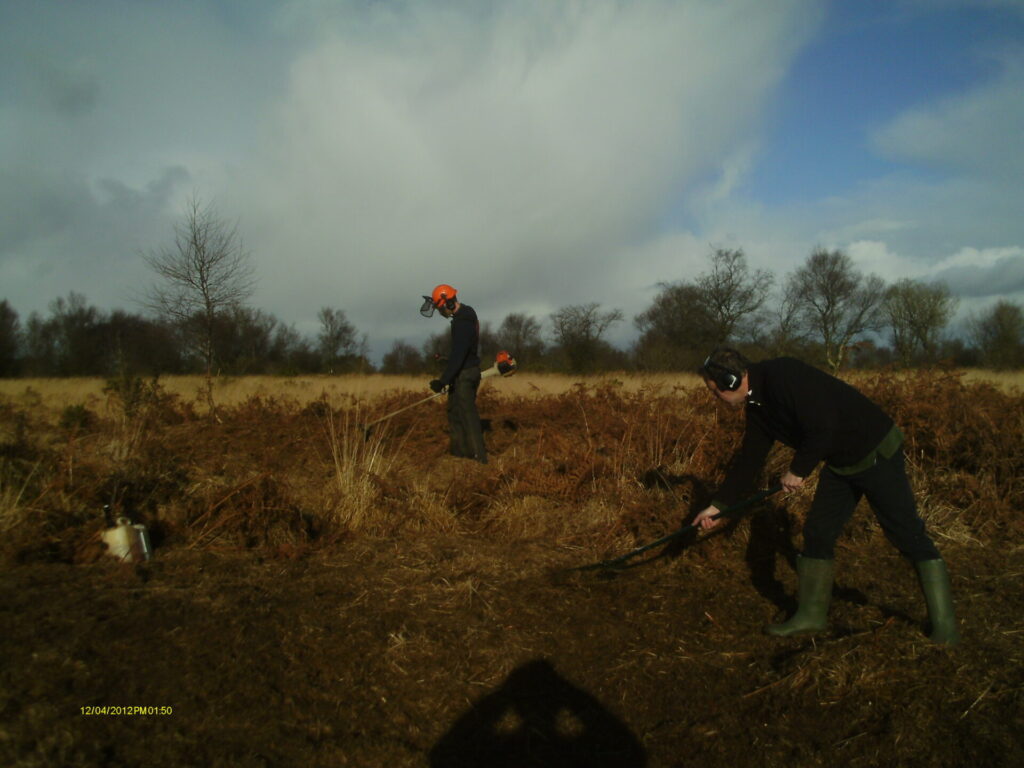 people strimming bracken