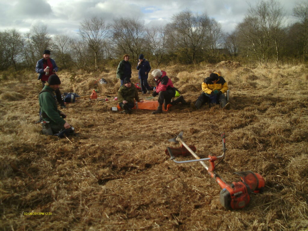 people clearing bracken from burial mounds at Gittisham